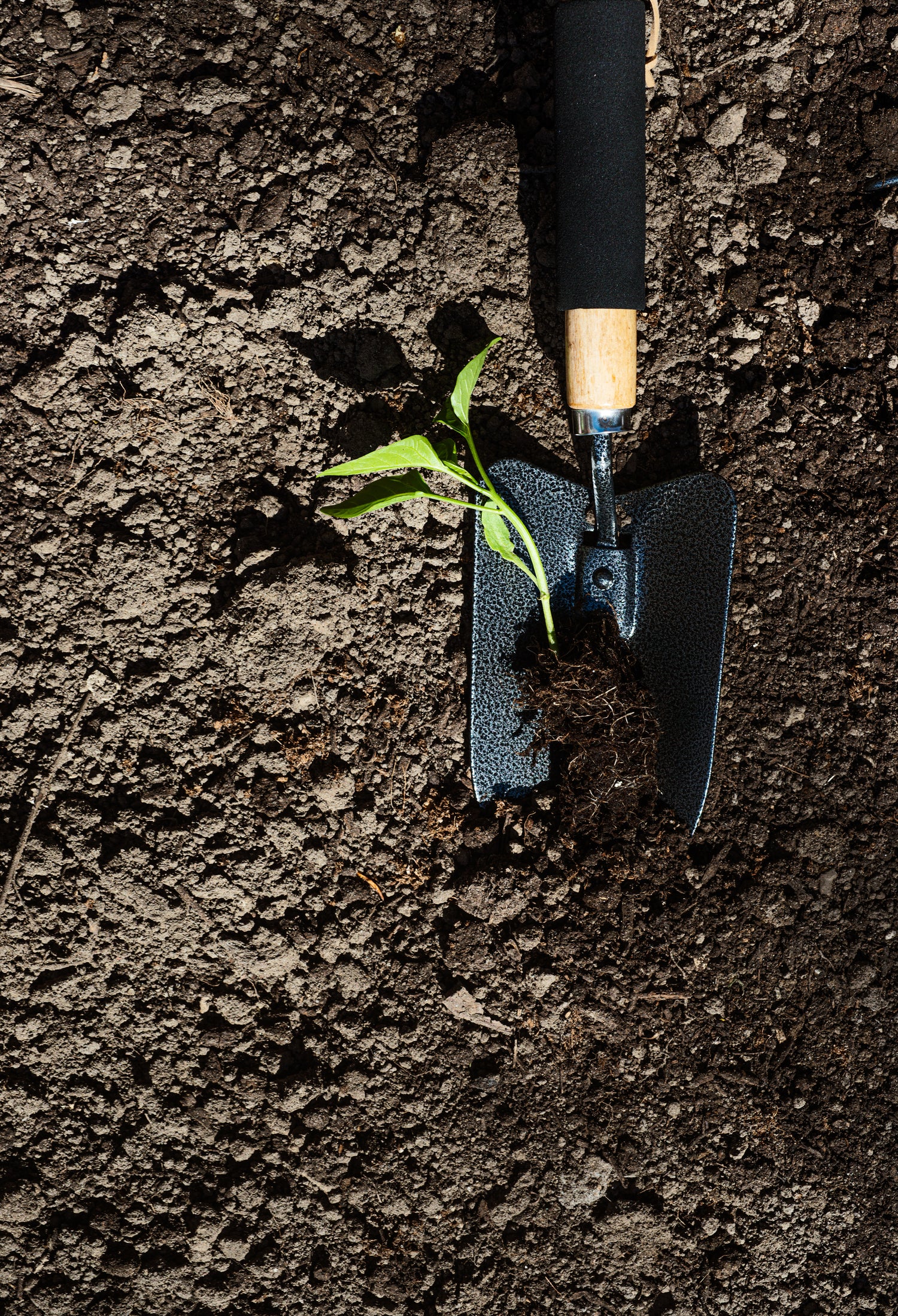 gardening-trowel-bone-broth-company